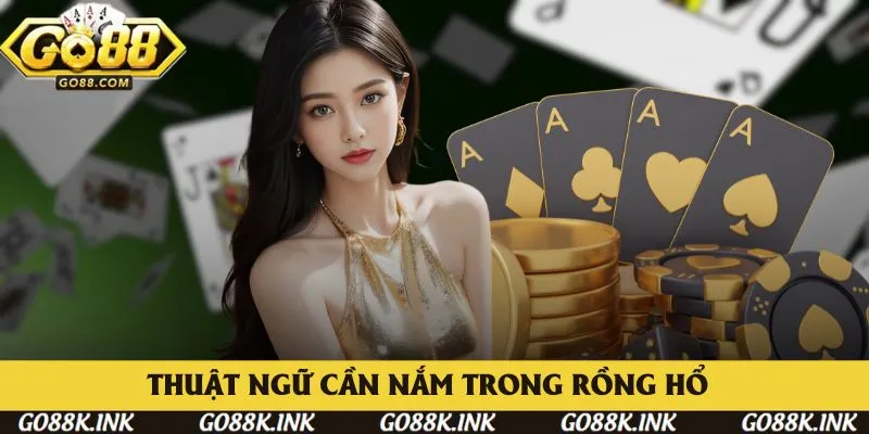 Một số thuật ngữ cần nắm trong hướng dẫn chơi Rồng Hổ Go88 Một số thuật ngữ cần nắm trong hướng dẫn chơi Rồng Hổ Go88